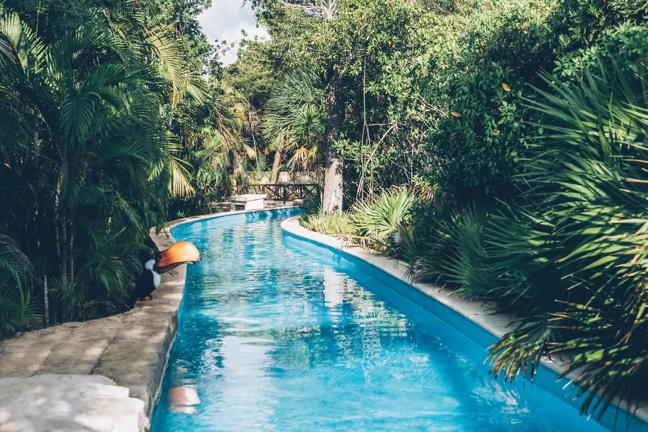 Iberostar Selection Paraiso Maya Puerto Morelos Resort